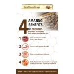 Propolis liquid(alchohol free) 20ml promotion  buy 3 free 1 - Image 4