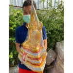 🔥金娜啦佛祖 Phra Phuttha Chinnaraj Bucha 树脂成功佛 9寸膝长 高50厘米 22寸 - Image 6
