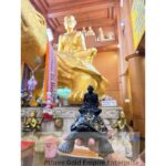 Phaya Tao Lp Liew Dragon Turtle Bucha 龙婆柳骑坐神龟 龍婆柳招財神龜金身供奉型（正庙恭请）